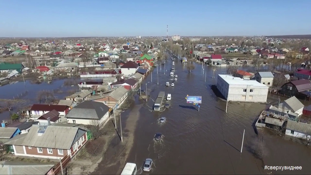 Воронежская область отзывы переехавших